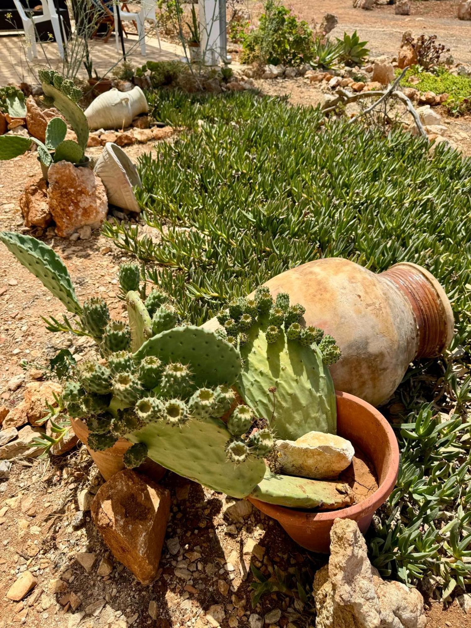 Aria Case Vacanze Favignana Exterior foto